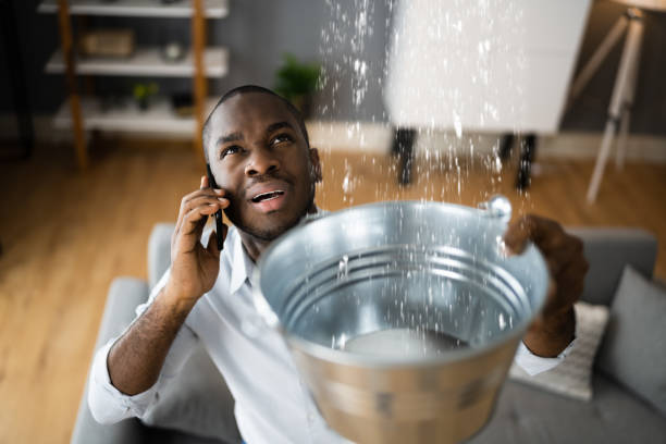 Best Water damage repair service  in Guernsey, WY