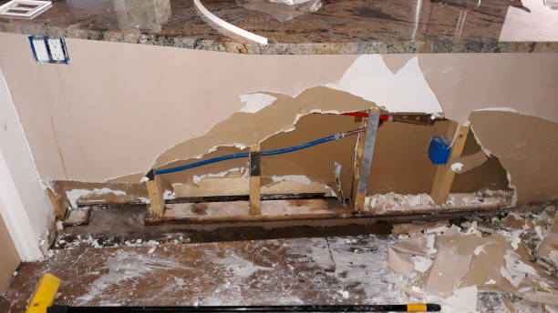 Best Carpet water damage restoration  in Guernsey, WY